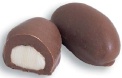 Chocolate Covered Brazil Nut