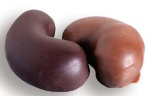 Chocolate Covered Cashew