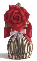 Gourmet Chocolate Covered Apples by Mrs Prindables