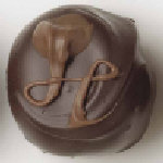 Double Chocolate Truffle